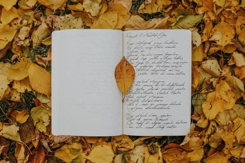 Handwritten poetry journal among autumn leaves